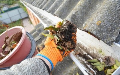 Steps to Clean the Gutters on Your Home